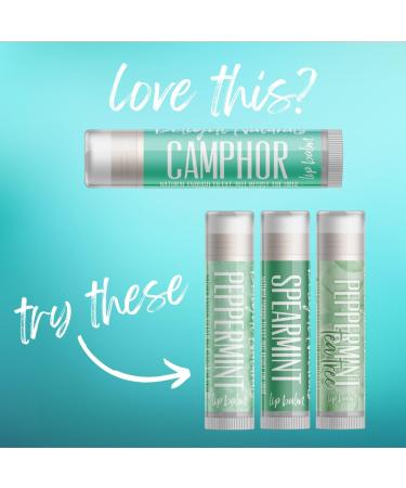 Delight Naturals Camphor Lip Balm - Three Pack - Buy Online on GoSupps.com