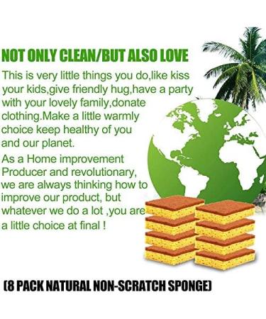 domoi Natural Plant Based Scrub Sponge 8 Pack Palm Fiber Scrubber Sponge with Non Scratch Biodegradable Compostable Sponges - Buy Online on GoSupps.com