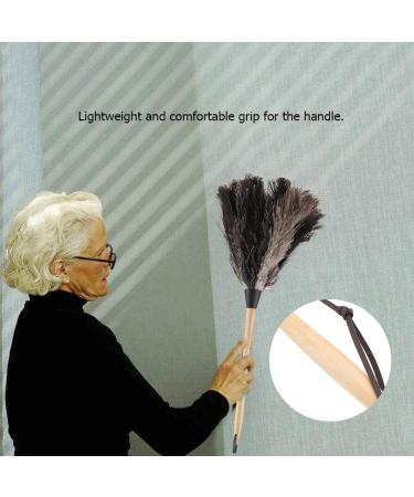 Ostrich Feather Duster Ostrich Feather Duster with Wood Handle Reusable Eco Friendly Reusable Handheld Ostrich Feather Duster Cleaning Supplies - Buy Online on GoSupps.com