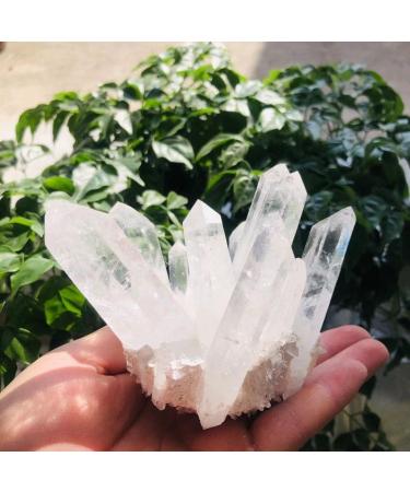 Room Decoration 350g-900g Natural Clear Quartz Stone White Crystal Cluster 1pc (Color : 1pc 710g-760g) - Buy Online on GoSupps.com