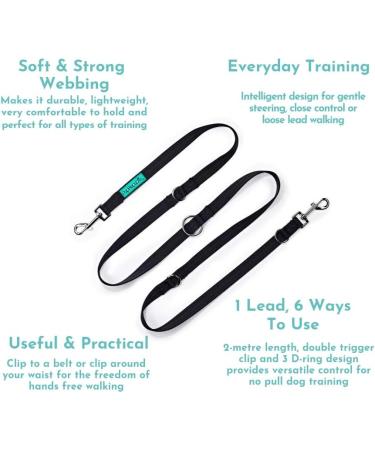 Multifunction Double Ended Lead for Dogs - Training and Walking Two Dogs with Close Control - Buy Online on GoSupps.com