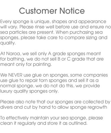 Naroa Unbleached Grass Sea Sponge Natural Exfoliating Body Pouf - Mediterranean Scrub for Adults Shower and Bath (Medium) - Buy Online on GoSupps.com