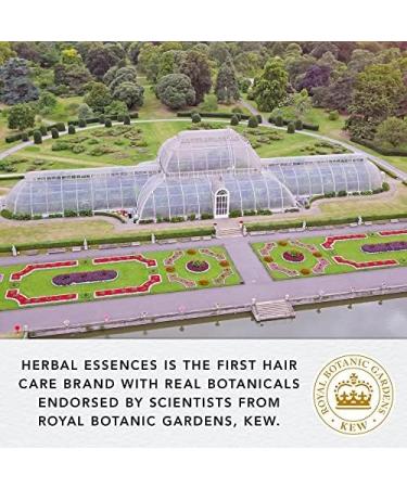 Herbal Essences Sulphate Free Mango Hair Shampoo and Conditioner Set with Argan Oil - 380ml/275ml/100ml - Hydrating Care for Coloured Hair - Buy Online on GoSupps.com