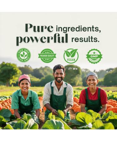 Triphala Capsules Immune Support & Digestive Health with Amla, Haritaki & Bibhitaki Gut Cleanse, Detox, Bloating Relief GMP Certified, Non-GMO, Vegan 30 Count - Buy Online on GoSupps.com