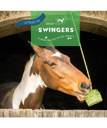 Silvermoor Swingers 1kg - Captivating Carrot - Buy Online on GoSupps.com