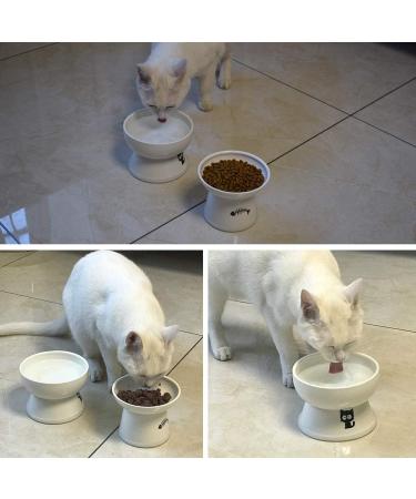 FOREYY Raised Ceramic Cat Food and Water Bowl Set with Anti-Slip Stand - Stress-Free, Backflow Prevention, Dishwasher & Microwave Safe - White - Buy Online on GoSupps.com