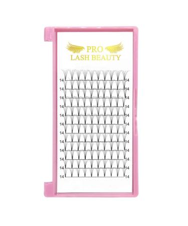 7D-D 07-10 Short Stem Eyelash Extensions | Finished Volume Fans | 0.10 C Curl | International Shipping - Buy Online on GoSupps.com