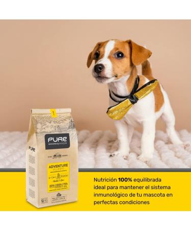 Avantis Pet Pure Adventure Puppy Dog Food for All Breeds - 12 kg - Food suitable for pregnant and nursing mothers - Highly Digestible with Chicken and Rice - Buy Online on GoSupps.com