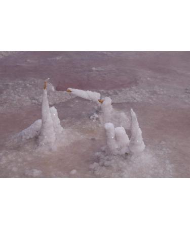 SIVASH Natural Unrefined Sea Bath Salt 1 kg - Buy Online on GoSupps.com