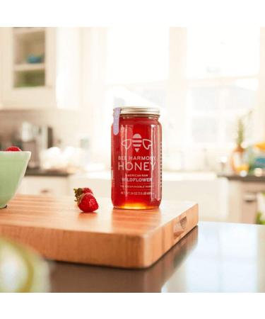 Bee Harmony Blueberry Blossom Honey - 12oz Raw American Honey - Buy Online on GoSupps.com