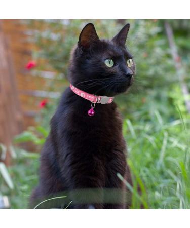 Tagme Personalized Cat Collar - Adjustable Safety Neck Band for Cats (2-Pack) - Pink - Custom Name & Phone Number Fits 18-28 cm - Buy Online on GoSupps.com