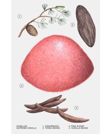 Zara Supreme Vanilla Perfume for Women EDP Eau De Parfum 80 ML (2.7 FL. OZ) - Buy Online on GoSupps.com