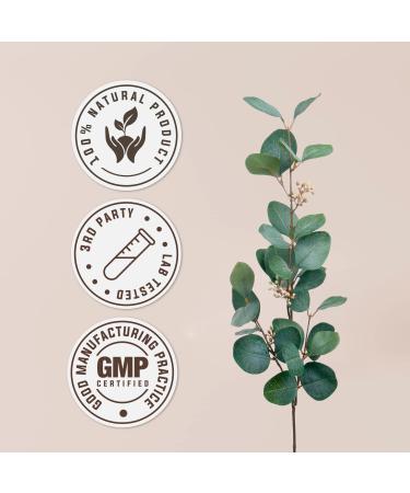 Bacopa USDA Organic | Alcohol-Free Extract, Organic Herbal Drops, Supplement, Relaxation, Positive Cognitive Effect | Tincture Made from 100% Organic Bacopa (Bacopa Monnieri) Dried Herb 2 oz 2 Fl Oz (Pack of 1) - Buy Online on GoSupps.com