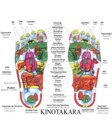 Kinotakara Tree Vinegar Plasters - Premium Japanese Herbal Patches for Pain Relief | K-link - Buy Online on GoSupps.com