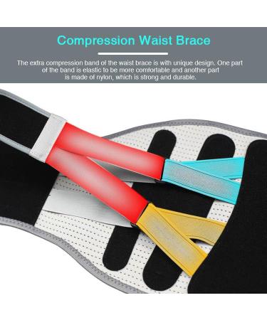 Back Brace for Men & Women | Relief for Pain Sciatica & Herniated Discs | Strong Support & Stability | Prevent Injury While Lifting | Medium Size - Buy Online on GoSupps.com