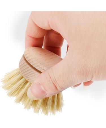 Povhhee Washing Up Brush Dish Brush 6 Pcs Replacement Brush Heads Wooden Cleaning Dish Brush Refillable Kitchen Beech - Buy Online on GoSupps.com