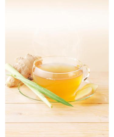  Lebensbaum Tree of Life Green Tea with Ginger and Lemon in a Bag (40g) - Organic - Buy Online on GoSupps.com