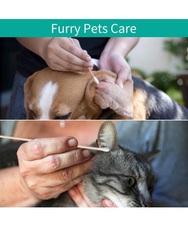 500 PCS 6 Inch Natural Cotton Swabs with Reusable Box - Eco-Friendly Wooden Sticks - Non-Sterile Applicators for Ear & Gun Cleaning, Makeup Removal - Buy Online on GoSupps.com