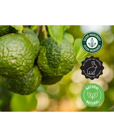 Bergamot Essential Oil - 100% Pure Essential Oil - 1 fl oz (30ml) - Buy Online on GoSupps.com