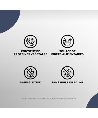 BioTechUSA Vegan Protein Brownie Pastry Mix with Pea Protein Isolate Rice Protein and Sweetener 600g Chocolate - Buy Online on GoSupps.com