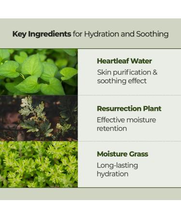 JMsolution Heart Leaf 88 Toner - 88% Heart Leaf Water for Hydration Soothing & Pore Care | Non-Sticky Multi-Layer Absorption | International Shipping Available - Buy Online on GoSupps.com