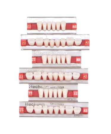 84 Pcs Dental Synthetic Resin False Teeth Set for Halloween Horror A2 - Denture Kit - Buy Online on GoSupps.com
