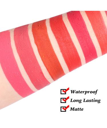FAEYLI MAKEUP Matte Liquid Lipstick - 24 Hour Stay Waterproof Long Lasting Lip Gloss (Artist FAEYLI) - Buy Online on GoSupps.com