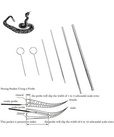PETSTARCX 6 Pack Round Ball Tip Reptiles Snake Probe Portable Probe Kit - Buy Online on GoSupps.com