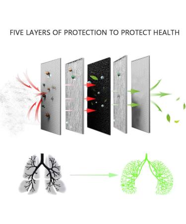 Activated Carbon 5-Layer PM 2.5 Filter Replacement of The Mask Filter in a Protective Cover (30pcs-Adult-Size) - Buy Online on GoSupps.com
