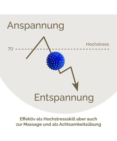 2x DBT Skills Hedgehog Ball - Magnetic Acupressure Stress Relief & Massage | Blue Matt 32mm for Tension Relief & Increased Mobility - Buy Online on GoSupps.com