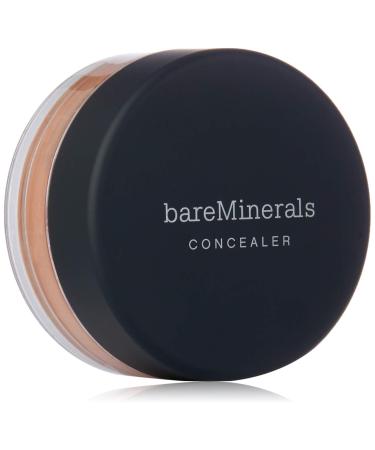 bareMinerals Loose Powder Concealer SPF 20  Dark Bisque  0.07 Ounce