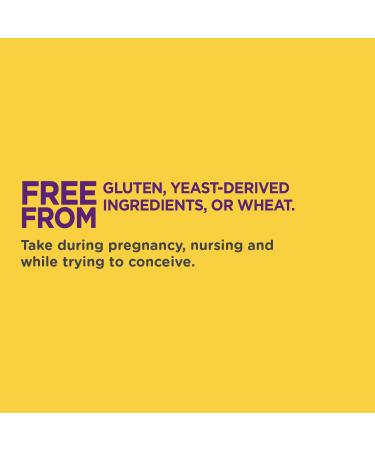 Natures Way Vitamin Multi Prenatal - 60 Count | Essential Prenatal Vitamins - Buy Online on GoSupps.com