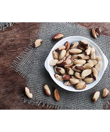 Raw Brazil Nuts 8 oz - Non-GMO, Unsalted, Kosher, Vegan - Keto & Paleo Friendly Trail Mix Snack with Selenium - Buy Online on GoSupps.com