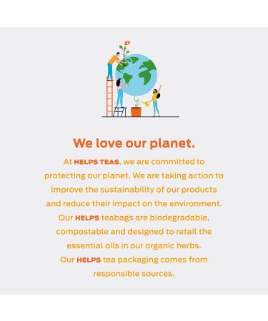 HELPS TEAS | Helps Immunity Boost Tea | Organic herbal blend of Echinacea, Eucalyptus, Mint, Linden, Thyme and Natural Honey Flavor. Facilitates Respiratory Health | 16 Tea Bags - Pack of 3 | Helps Immunity Boost 16 Count (  - Buy Online on GoSupps.com