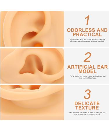 Frcolor Body Display Practice Props - Flexible Audio Simulation Training Kit for Ear Piercing Instruction 7.8x4.9cm - Buy Online on GoSupps.com