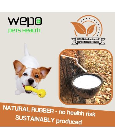 Wepo Frisbee Dog Toy Set - 18cm | Water-Resistant Training Toys for Big Dogs | Durable Red/Purple/Green Discs for Outdoor Play & Training - Buy Online on GoSupps.com