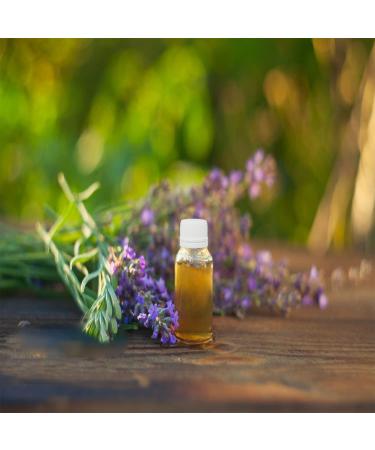 Brown Glass Dropper Bottles Set - 28pcs 10ml Empty Essential Oil Containers with White Lids | Perfect for Perfume & Fragrance Samples - Buy Online on GoSupps.com