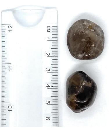 Smoky Quartz Medium Crystal Tumbled Stone - 1 Pc - Buy Online on GoSupps.com