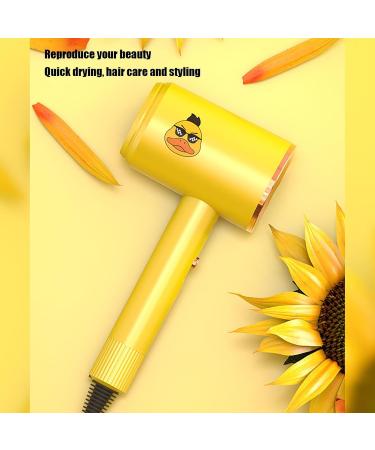 Quiet Hair Dryer - Portable Ionic Hair Dryer | Professional Salon Ions Hair Dryer | Blow Dryer | Ionic Hair Dryer With Diffuser | Cool Hair Dryer Very Suitable For Family Salon And Travel - Buy Online on GoSupps.com