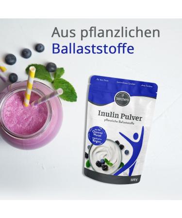 Borchers Inulin Powder - 500g | Vegan Vegetable Fiber | Enhance Digestive Health | Order Internationally - Buy Online on GoSupps.com