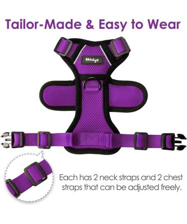 Breakproof Cat Leash Set & Adjustable Soft Vest for Kittens - Reflective Stripes & Purple Dishes (Small) - Buy Online on GoSupps.com