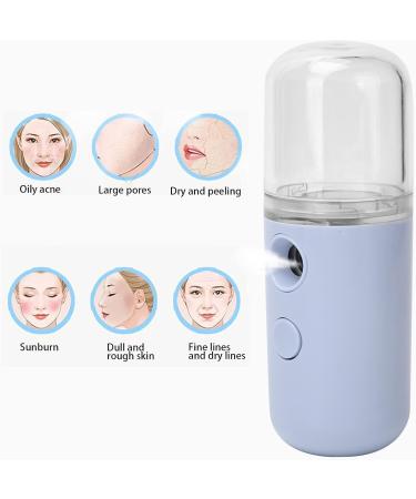 Saluaqui Handheld Face Mist Sprayer Rechargeable Moisturizing Nano Facial Mister Hydrating Face Humidifier Handy Hydrating Sprayer with Visual Water Tank (Light Purple) - Buy Online on GoSupps.com