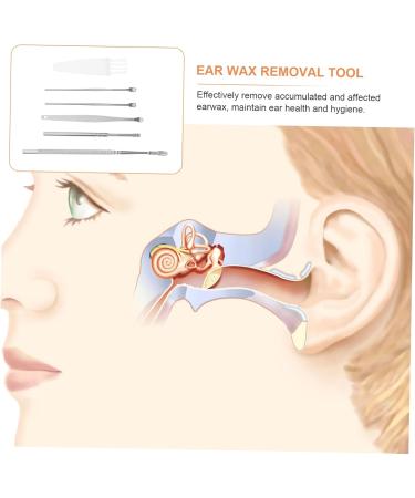 Buy Hemoton 16 Sets Ear Pick Tool Kit - Ear Wax Remover & Cleaning Tools for Kids | Stainless Steel Ear Wax Pick Set - International Shipping - Buy Online on GoSupps.com