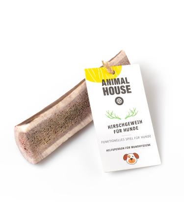 Animal House - shared deer antler for dogs - 100% natural causnack - mouth hygiene - resistant and durable - available in all sizes (XL) XL 1 piece (1 Pack)