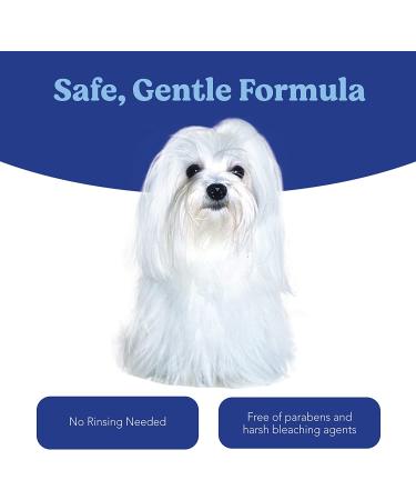 Angels Eyes Tear Stain Solution for Dogs and Cats | 8 oz Gentle Eye and Face Cleaner | Remove Discharge, Dirt, Tear Stains, and Mucus - Buy Online on GoSupps.com