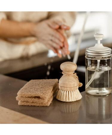 Eco Loco Zero Waste kit for Dishes - Buy Online on GoSupps.com
