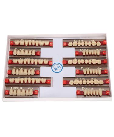 Buy Complete Resin Dentures | High-Quality Artificial Teeth & Dental Supplies for International Shipping - Buy Online on GoSupps.com
