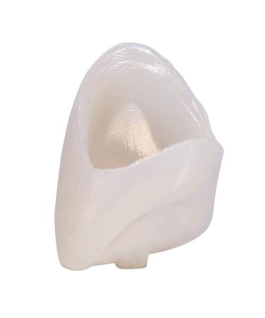 50pcs Temporary Dental Crowns - Realistic Porcelain Teeth for Front Molars | Oral Care & Restoration - Buy Online on GoSupps.com