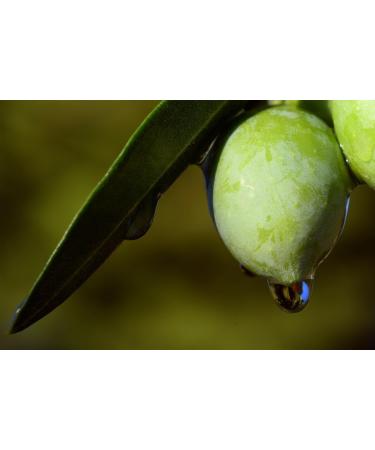 Mussvital Essentials Olive Oil Bath Gel 750ml - Buy Online on GoSupps.com