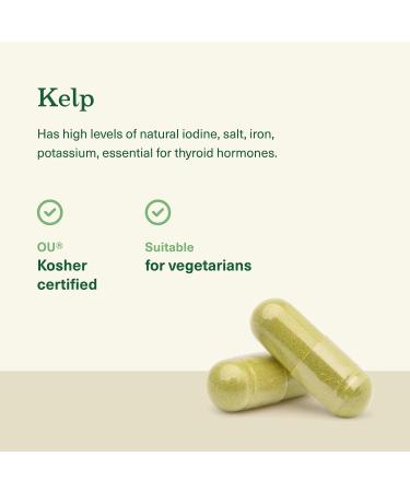 Raw Sea Kelp Powder Supplement - 600mg Capsules for Thyroid Support - 100 Pills - Buy Online on GoSupps.com